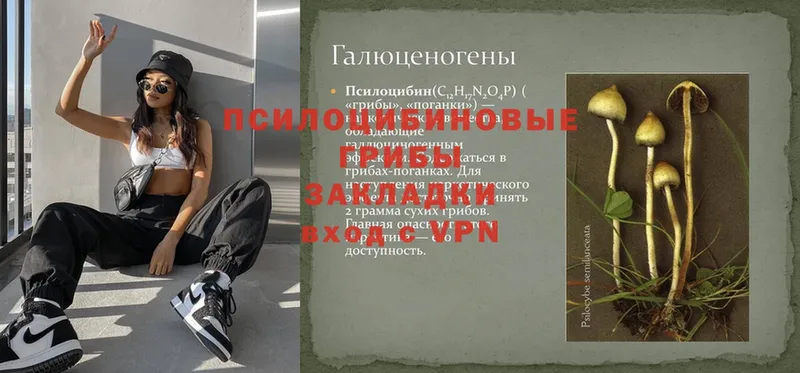 нарко площадка наркотические препараты  Боготол  Галлюциногенные грибы Psilocybe  цена  